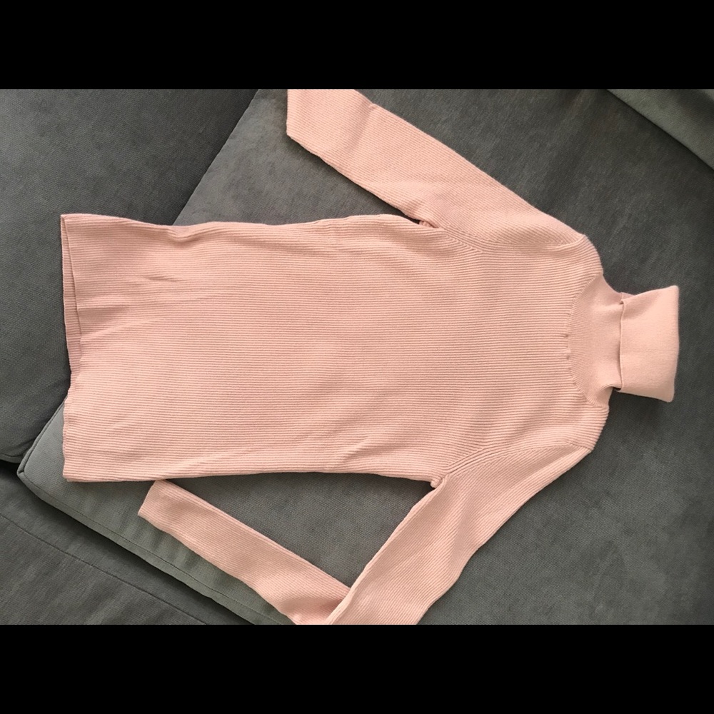 Ann Taylor Pink Turtleneck Sweater